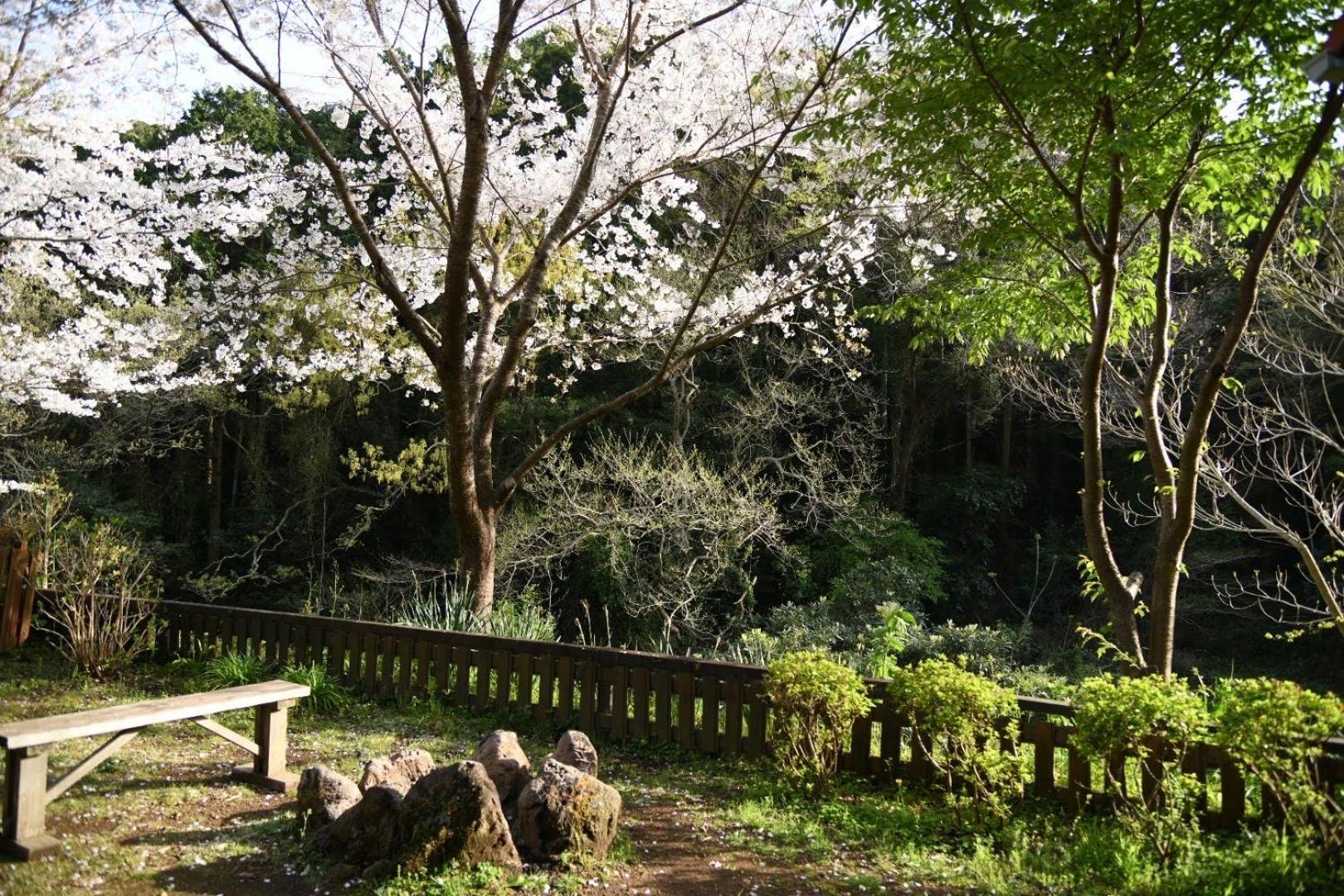 Sunny Side Cottage Shimoda  Zewnętrze zdjęcie